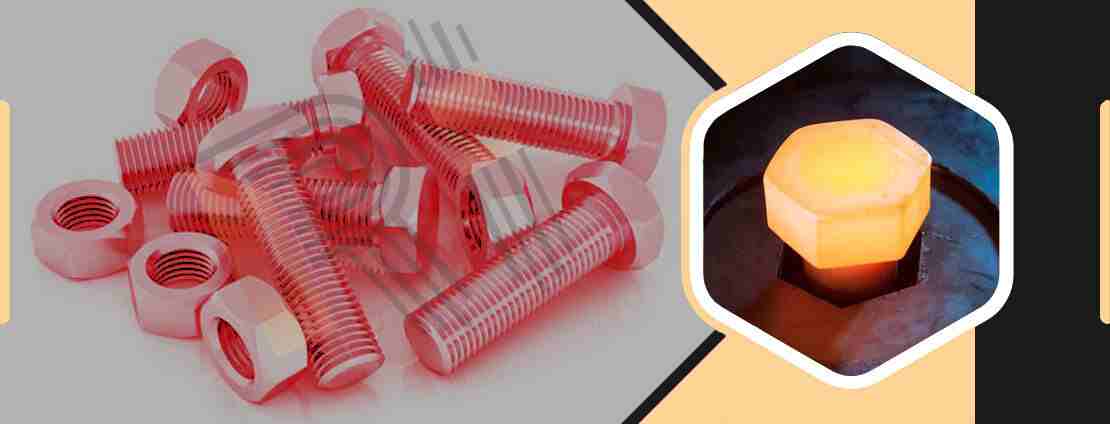 Cu-Ni Fasteners