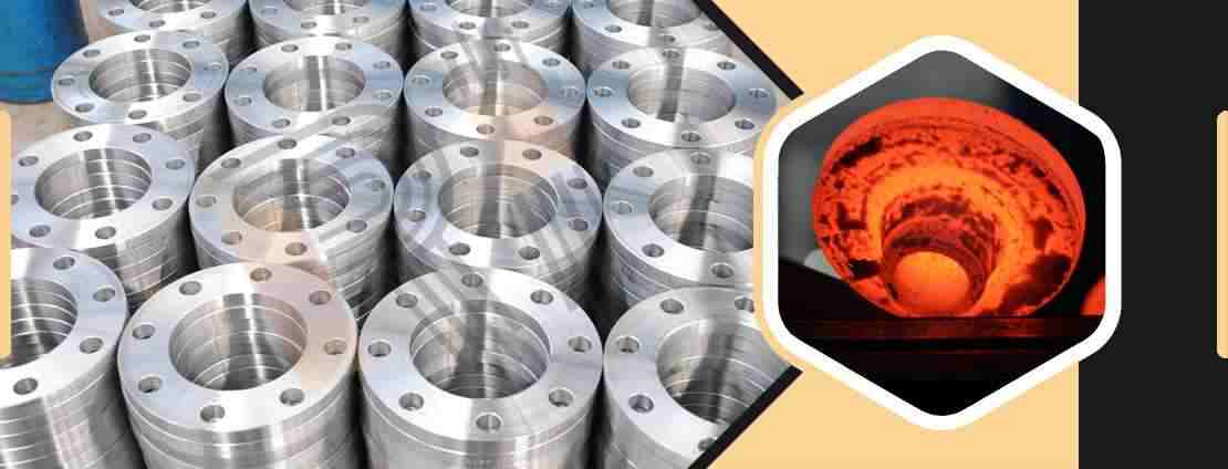 Stainless Steel Flanges