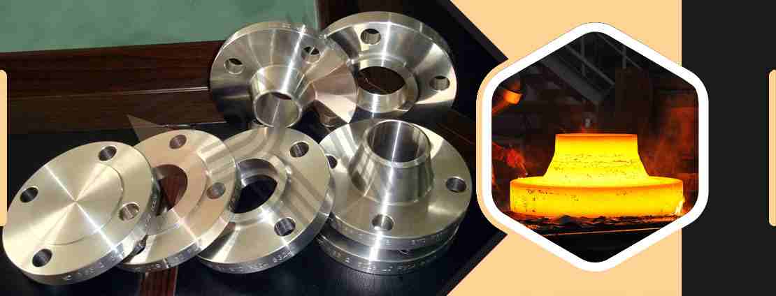 Titanium Gr.23 Flanges