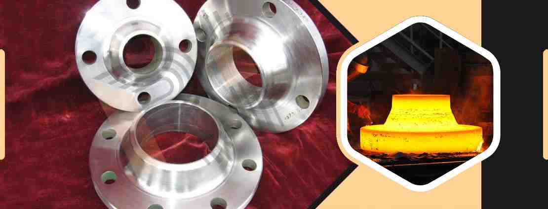 Titanium Gr.5 Flanges